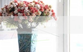 天窗(天窗屋顶)