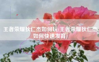 王者荣耀狄仁杰如何玩(王者荣耀狄仁杰如何快速发育)