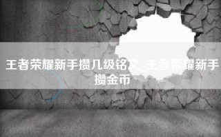 王者荣耀新手攒几级铭文_王者荣耀新手攒金币