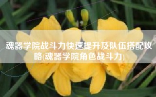 魂器学院战斗力快速提升及队伍搭配攻略(魂器学院角色战斗力)