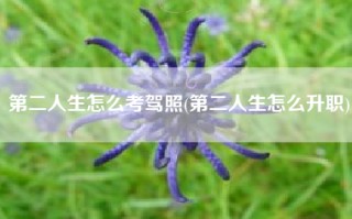 第二人生怎么考驾照(第二人生怎么升职)
