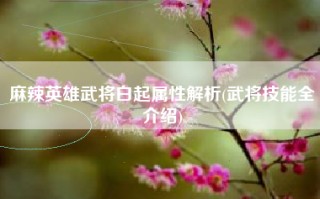 麻辣英雄武将白起属性解析(武将技能全介绍)