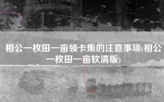 相公一枚田一亩领卡集的注意事项(相公一枚田一亩软清版)