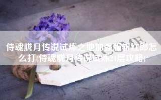 侍魂胧月传说试炼之地加强版斩红郎怎么打(侍魂胧月传说试炼24层攻略)