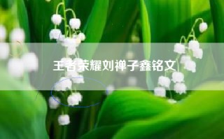 王者荣耀刘禅子鑫铭文