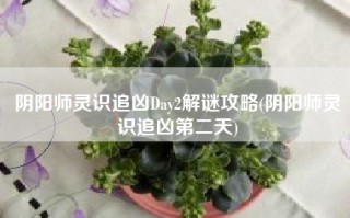 阴阳师灵识追凶Day2解谜攻略(阴阳师灵识追凶第二天)