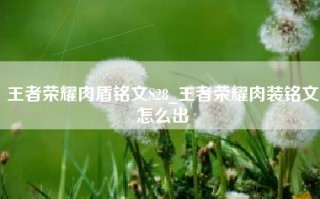 王者荣耀肉盾铭文S28_王者荣耀肉装铭文怎么出