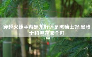 穿越火线手游黑龙好还是黑骑士好,黑骑士和黑龙哪个好