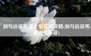 剑与远征死魂之引奖励攻略(剑与远征死魂之引阵容)