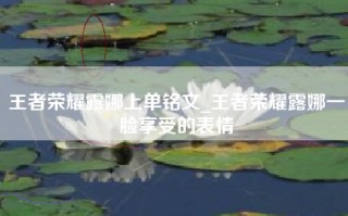 王者荣耀露娜上单铭文_王者荣耀露娜一脸享受的表情