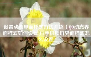 设置动态界面样式方法介绍（QQ动态界面样式如何设置）(手机锁屏界面样式怎么设置)