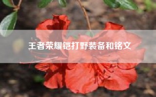 王者荣耀铠打野装备和铭文