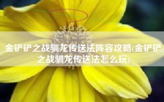 金铲铲之战驯龙传送法阵容攻略(金铲铲之战驯龙传送法怎么玩)