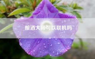 酿酒大师可以联机吗