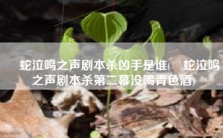 螣蛇泣鸣之声剧本杀凶手是谁(螣蛇泣鸣之声剧本杀第二幕没喝青色酒)