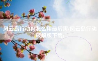 风云岛行动狗怎么用最厉害(风云岛行动破解版下载)