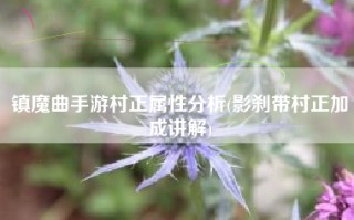 镇魔曲手游村正属性分析(影刹带村正加成讲解)
