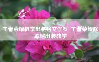 王者荣耀教学出装铭文伽罗_王者荣耀修罗铠出装教学