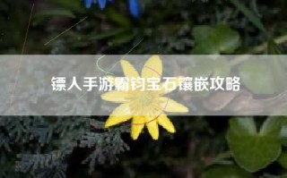 镖人手游霸钧宝石镶嵌攻略