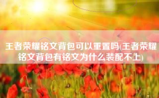 王者荣耀铭文背包可以重置吗(王者荣耀铭文背包有铭文为什么装配不上)