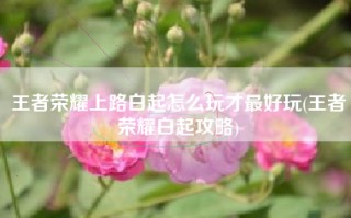 王者荣耀上路白起怎么玩才最好玩(王者荣耀白起攻略)