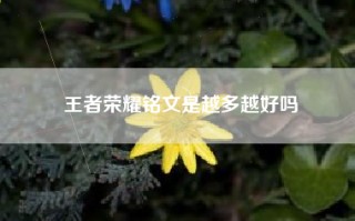 王者荣耀铭文是越多越好吗