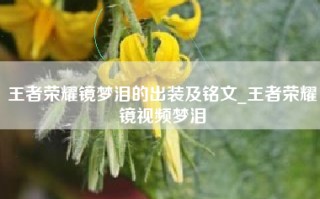 王者荣耀镜梦泪的出装及铭文_王者荣耀镜视频梦泪