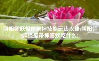 阴阳师妖怪屋帚神技能玩法攻略(阴阳师妖怪屋帚神喜欢吃什么)