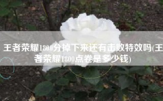 王者荣耀1800分掉下来还有击败特效吗(王者荣耀1800点卷是多少钱)