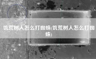 饥荒树人怎么打蜘蛛(饥荒树人怎么打蜘蛛)