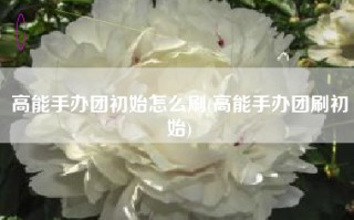 高能手办团初始怎么刷(高能手办团刷初始)