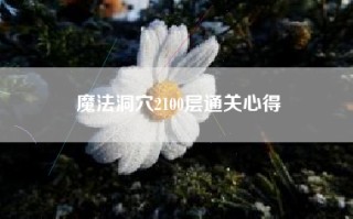 魔法洞穴2100层通关心得