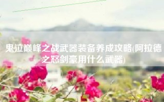 鬼泣巅峰之战武器装备养成攻略(阿拉德之怒剑豪用什么武器)