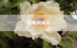 阿唯(阿维塔)