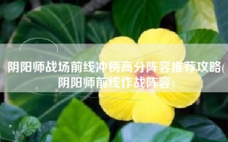 阴阳师战场前线冲榜高分阵容推荐攻略(阴阳师前线作战阵容)