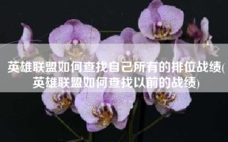 英雄联盟如何查找自己所有的排位战绩(英雄联盟如何查找以前的战绩)