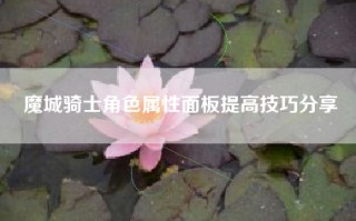 魔城骑士角色属性面板提高技巧分享