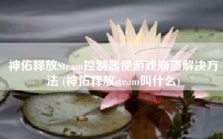 神佑释放Steam控制器使游戏崩溃解决方法 (神佑释放steam叫什么)