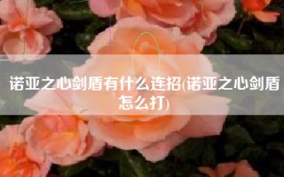 诺亚之心剑盾有什么连招(诺亚之心剑盾怎么打)