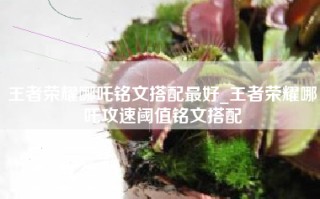 王者荣耀哪吒铭文搭配最好_王者荣耀哪吒攻速阈值铭文搭配