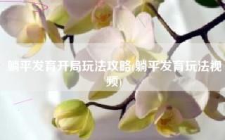 躺平发育开局玩法攻略(躺平发育玩法视频)