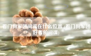 看门狗军团间谍在什么位置 (看门狗军团好看的间谍)