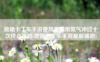 跑跑卡丁车手游使用黑妞用氮气冲过十次终点攻略(跑跑卡丁车手游星辰辅助)