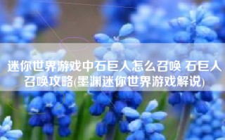 迷你世界游戏中石巨人怎么召唤 石巨人召唤攻略(墨渊迷你世界游戏解说)