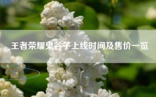 王者荣耀鬼谷子上线时间及售价一览