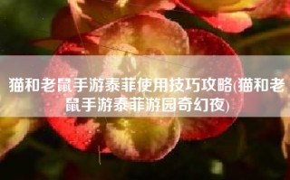 猫和老鼠手游泰菲使用技巧攻略(猫和老鼠手游泰菲游园奇幻夜)