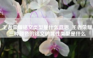 王者荣耀铭文类型是什么意思_王者荣耀三种颜色的铭文的属性类型是什么