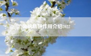 装扮精髓作用介绍2022