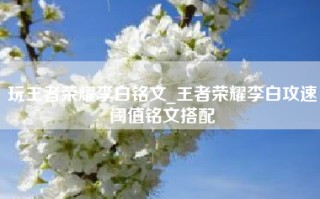 玩王者荣耀李白铭文_王者荣耀李白攻速阈值铭文搭配