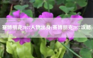 赛博朋克2077人物出身(赛博朋克2077攻略)